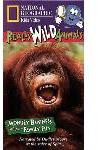National Geographic\'s Really Wild Animals: Monkey Business and Other Family