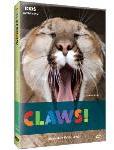 Kids @ Discovery: Claws!