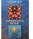 Liquified/ Underwater Realm