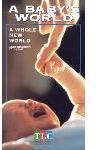 A Baby\'s World: A Whole New World