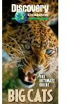 Ultimate Guide: Big Cats