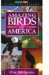 Amazing Birds of America