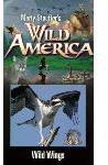 Wild America 12: Wild Wings