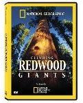 National Geographic: Climbing Redwood Giants