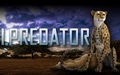 I, Predator