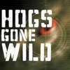 Hogs Gone Wild