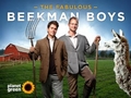 The Fabulous Beekman Boys: More Fab